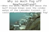 Why so much fog off Newfoundland? When the warm, moist air above the Gulf Stream blows over the colder water of the Labrador Current, it cools and condenses,