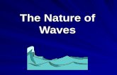 The Nature of Waves. Wave: Any disturbance that transmits energy through matter or empty space.