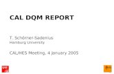 CAL DQM REPORT T. Schörner-Sadenius Hamburg University CAL/HES Meeting, 4 January 2005.