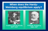 When does the Hardy- Weinberg equilibrium apply?.