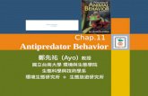 Chap.11 Antipredator Behavior 鄭先祐 (Ayo) 教授 國立台南大學 環境與生態學院 生態科學與技術學系 環境生態研究所 + 生態旅遊研究所.