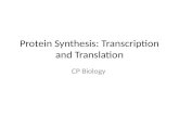 Protein Synthesis: Transcription and Translation CP Biology.