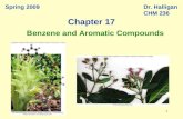 11111 Spring 2009Dr. Halligan CHM 236 Benzene and Aromatic Compounds Chapter 17.