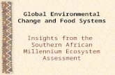 Global Environmental Change and Food Systems Insights from the Southern African Millennium Ecosystem Assessment.
