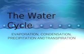 1 The Water Cycle EVAPORATION, CONDENSATION, PRECIPITATION ANDTRANSPIRATION.