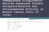 Pomegranate Ellagitannin-Derived Compounds Exhibit Antiproliferative and Antiaromatase Activity in Breast Cancer Cells In vitro Journal ： Cancer Prev Res;