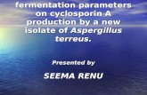 Role of some fermentation parameters on cyclosporin A production by a new isolate of Aspergillus terreus. Presented by SEEMA RENU.