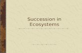 Succession in Ecosystems. Succession- a series of changes in a community in which new populations of organisms gradually replace existing ones.