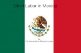 By: Tia Alexander & Maciah Lipsey Child Labor in Mexico By: Tia Alexander & Maciah Lipsey.