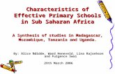 By: Alice Ndidde, Ward Heneveld, Lina Rajonhson and Fulgence Swai 29th March 2006 Characteristics of Effective Primary Schools in Sub Saharan Africa A.