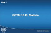SGTM 16 B: Malaria Slide 1 SGTM 16 B: Malaria. Slide 2  How malaria affects the world  How malaria affects you  Preventing malaria  How malaria affects
