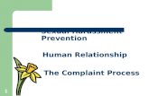 1 Sexual Harassment Prevention Human Relationship The Complaint Process.