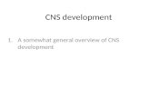CNS development 1.A somewhat general overview of CNS development.