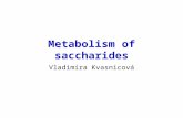 Metabolism of saccharides Vladimíra Kvasnicová. Glucose enter the cells by a)free diffusion b)facilitated diffusion c)active transport d)secondary active.