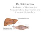 Dr. Saidunnisa Professor of Biochemistry Transamination, Deamination and Ammonia Metabolism.