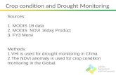 Crop condition and Drought Monitoring Sources: 1. MODIS 1B data 2. MODIS NDVI 16day Product 3. FY3 Mersi Methods: 1.VHI is used for drought monitoring.
