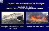 Causes and Prediction of Drought Randall M. Dole NOAA-CIRES Climate Diagnostics Center Drought Causes,Prediction Drought in Great Plains, ca. 1935Fires.