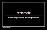 SC/STS 3760, IV 1 Aristotle Knowledge comes from experience.