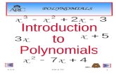 4.3 SKM & PP 1 POLYNOMIALS. 4.3 SKM & PP 2 The word “Polynomial” means “many names” or “many terms”. A “term” is a “monomial” and has the following form: