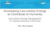 Yunnan Provincial Energy Administration, P.R.China Developing Low-carbon Energy to Contribute to Humanity Low-carbon Energy Development in Yunnan Province,