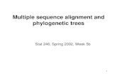 1 Multiple sequence alignment and phylogenetic trees Stat 246, Spring 2002, Week 5b.