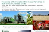 Tracking of Simulated Biomass Particles in Bubbling Fluidized Beds This presentation does not contain any proprietary, confidential, or otherwise restricted.