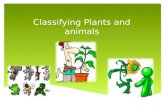 Classifying Plants and animals  Group Name: The Differentials. Group Members : Sara Kaleem Age: 12 Anmol Qaiser Age: Umair Ahmed Age: Mugheesullah Age: