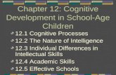 Chapter 12: Cognitive Development in School-Age Children 12.1 Cognitive Processes 12.2 The Nature of Intelligence 12.3 Individual Differences in Intellectual.