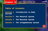 Body Organization and Structure Table of Contents Section 1 Introduction to Body Systems Section 2 The Skeletal System Section 3 The Muscular System Section.