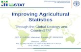 FOOD AND AGRICULTURE ORGANIZATION OF THE UNITED NATIONS Through the Global Strategy and CountrySTAT Improving Agricultural Statistics .