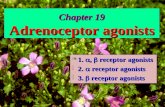 Chapter 19 Adrenoceptor agonists §1. ,  receptor agonists §2.  receptor agonists §3.  receptor agonists.