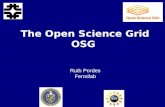 The Open Science Grid OSG Ruth Pordes Fermilab. 2 What is OSG? A Consortium of people working together to Interface Farms and Storage to a Grid and Researchers.