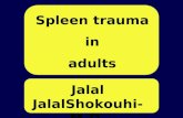 Jalal JalalShokouhi-M.D. jalaljalalshokouhi@hotmail.com Spleen trauma in adults.