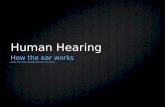 Human Hearing How the ear works Notes from How Hearing Works by Tom Harris.