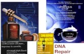 DNA Repair. DNA Damage Tolerance and Repair 1-Dealing with Problems occurring during DNA replication Mutations resulting from errors made during DNA replication.
