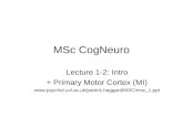 MSc CogNeuro Lecture 1-2: Intro + Primary Motor Cortex (MI) .