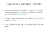 Bacterial Virulence Factors Some bacteria have certain cell parts that help them to invade other organisms better. These are called virulence factors.