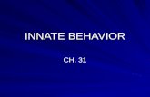 INNATE BEHAVIOR CH. 31. I. BEHAVIOR A. Define Behavior 1. Anything an animal does in response to a stimulus. a.Example: Heat stimulates a lizard to seek.