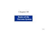 Chapter 10 Basics of the Nervous System 10-1. Chapter 10 Nervous System I Composed mainly of neural tissue Cell Types of Neural Tissue neurons transmit.