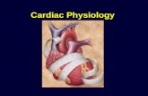 Cardiac Physiology. Cardiac Physiology - Anatomy Review