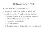 10 November 2008 Finish Ch 12 Cardiovascular Begin Ch 14 Respiratory Physiology Lab this week: Frog heart physiology – Review actions of ACh, Atropine,