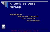 A Look at Data Mining Presented by: Charles Hollingsworth Flavia Peynado Ritch Overton DSc8020, Group Presentation, July 31, 2002.