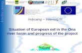 Séminaire Indicang 18 et 19 mai 2005 Indicang – Interreg III Situation of European eel in the Oria river basin and progress of the project.