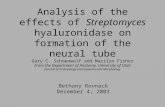 Analysis of the effects of Streptomyces hyaluronidase on formation of the neural tube Gary C. Schoenwolf and Marilyn Fisher From the Department of Anatomy,