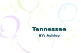 Tennessee BY: Ashley. Tennessee is a state in the u.s TN.