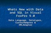 Whats New with Data and SQL in Visual FoxPro 9.0 Data Language, Datatypes, CursorAdapter & XMLAdapter