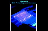 Chapter 20 DNA Technology and Genomics. Viruses have restriction enzymes to attack and destroy invading viral DNA. Restriction enzymes cut DNA at specific.