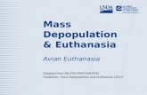 Mass Depopulation & Euthanasia Avian Euthanasia Adapted from the FAD PReP/NAHEMS Guidelines: Mass Depopulation and Euthanasia (2015)