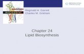 Reginald H. Garrett Charles M. Grisham Chapter 24 Lipid Biosynthesis.