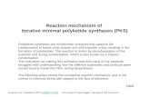 Reaction mechanism of iterative minimal polyketide synthases (PKS) Rasmus J.N. Frandsen 2007 (raf@life.ku.dk) University of Copenhagen, Faculty of Life.